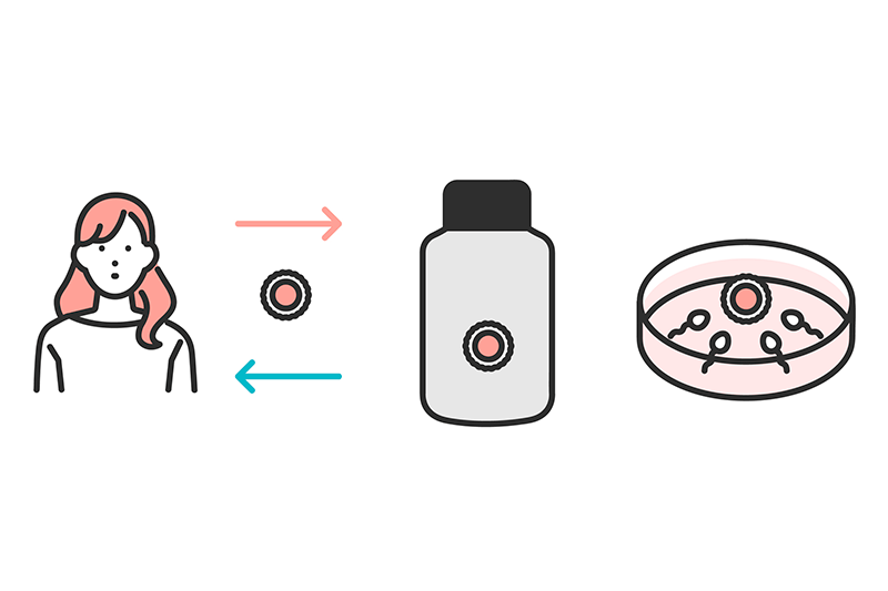 卵子凍結とは？メリット・デメリットや流れまで徹底解説