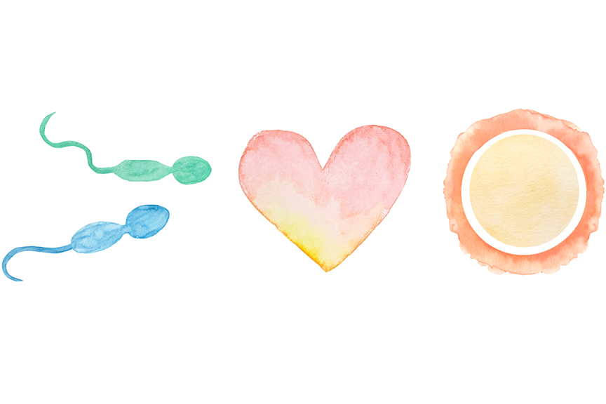 不妊治療の体外受精(IVF)とは？対象者や治療方法、流れについて解説