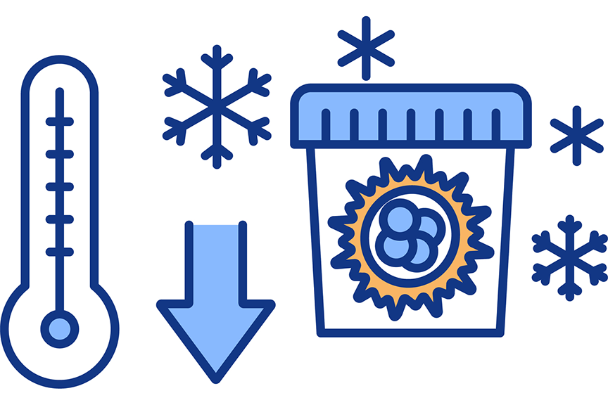 卵子凍結の費用とは？将来の妊娠につながる社会的卵子凍結を解説