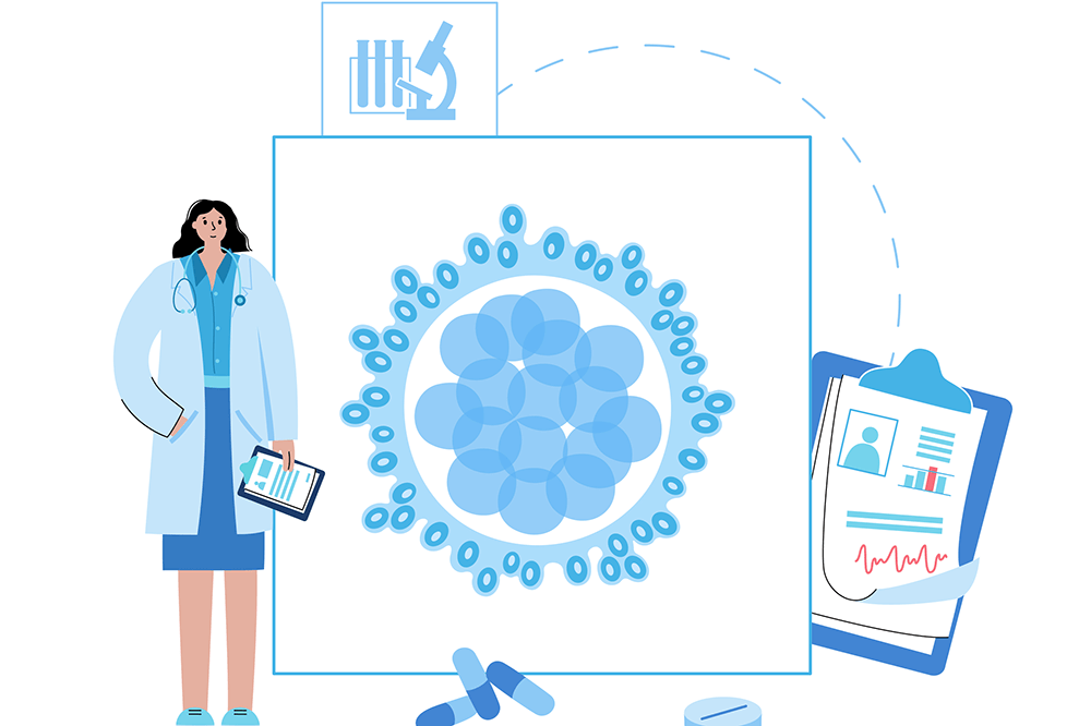 【医師監修】凍結した胚はいつ戻す？体外受精(IVF)や顕微授精(ICSI)の凍結融解胚移植を解説