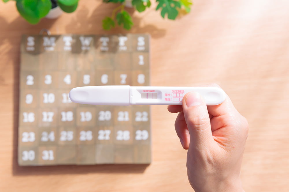 排卵日はいつ?妊娠の確率が高い日や妊娠の流れやタイミング法を解説