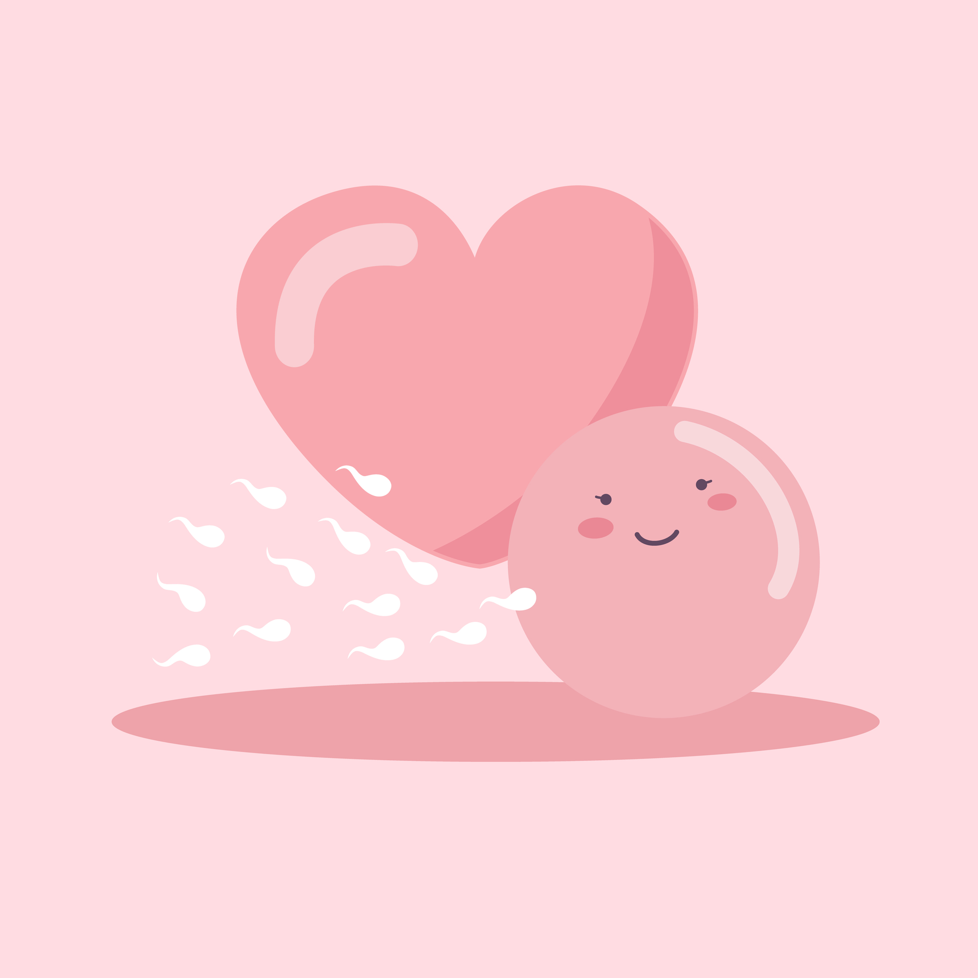 【胚培養士監修】抗精子抗体による不妊症とは？原因や治療方針を解説