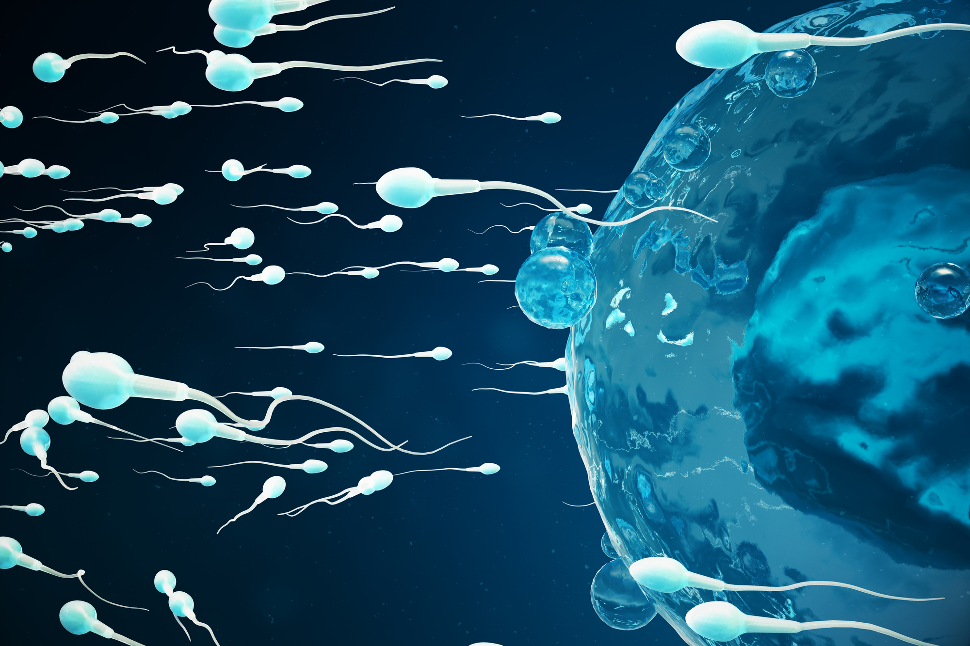 卵子の質を上げるには?質が落ちる原因や質の良い卵子の特徴を解説